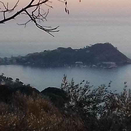 Hotel Villa Jolanda Sestri Levante Buitenkant foto